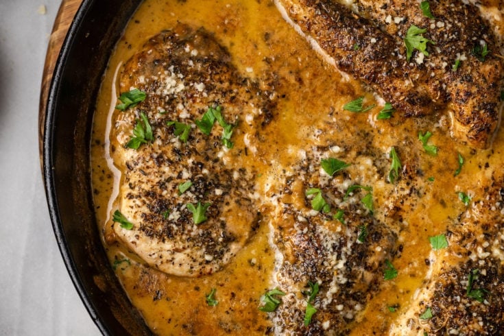 Close up view of chicken breasts cooking in a cream sauce in a pot